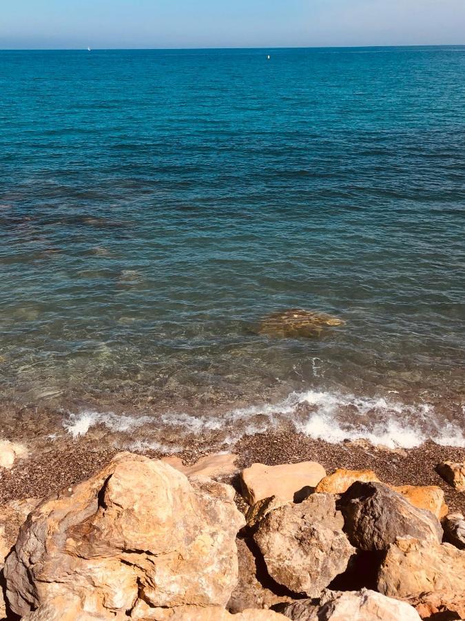 Antibes Secured Parc Velusine With Private Parking, Terrace, Pools And Tennis Courts. Экстерьер фото