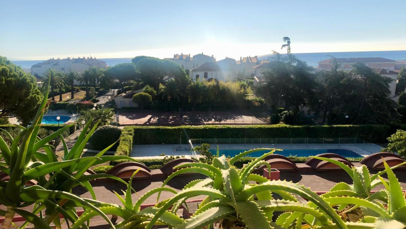 Antibes Secured Parc Velusine With Private Parking, Terrace, Pools And Tennis Courts. Экстерьер фото